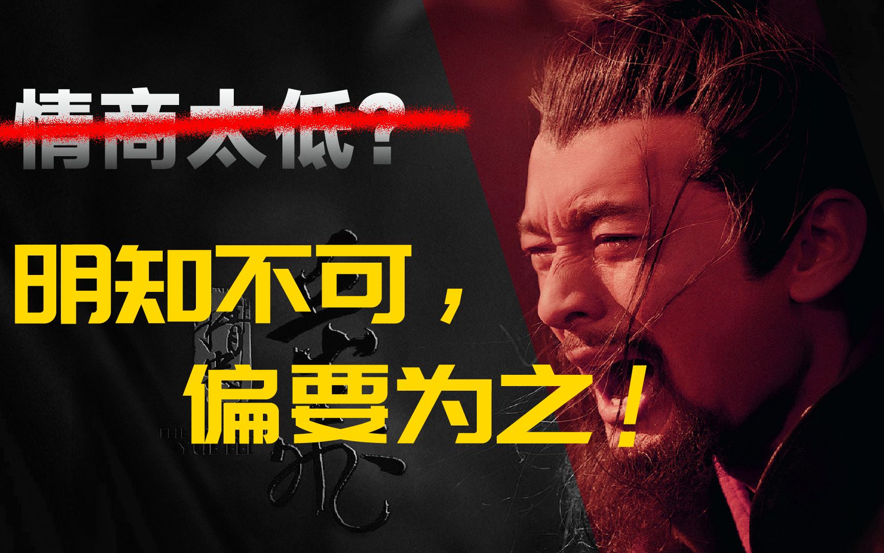 挡住了铁马金戈，败给了蝇营狗苟【岳飞人物志】